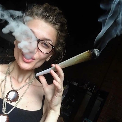 Cannabis Preroll: Industry Guide for Manufacturers & Detailers (2025)